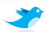 Twitter Your Way to a Fitter Body
