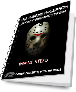 speed3D-246x300